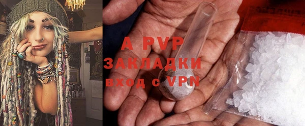 стаф Пестово