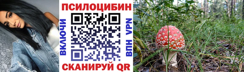 Псилоцибиновые грибы Psilocybine cubensis  Северская 